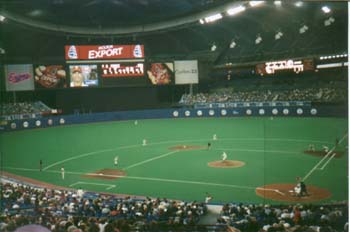 Expos Fever - Catch it!