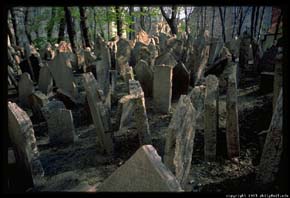 Jewish cemetery in Prague.